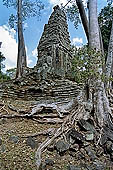 Angkor Thom - Prah Palilay temple surrounded by trees 
